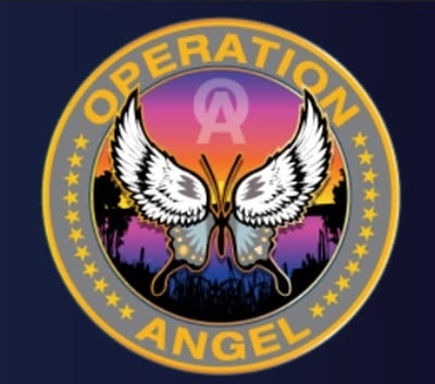 Operation Ange